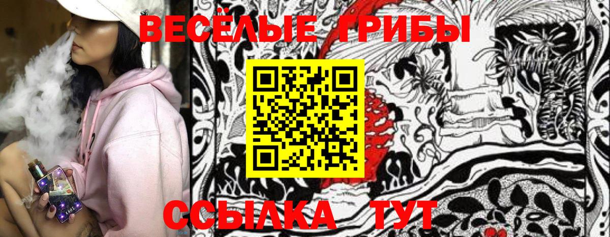Нальчик  Галлюциногенные грибы Magic Shrooms  Вход с VPN  Галлюциногенные грибы мицелий 