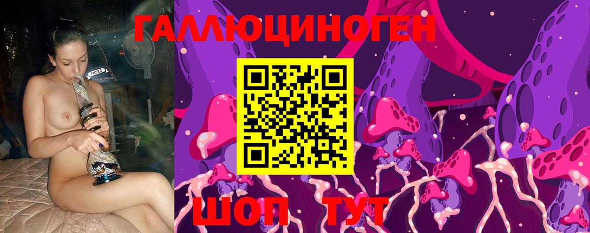 Псилоцибиновые грибы GOLDEN TEACHER Нальчик